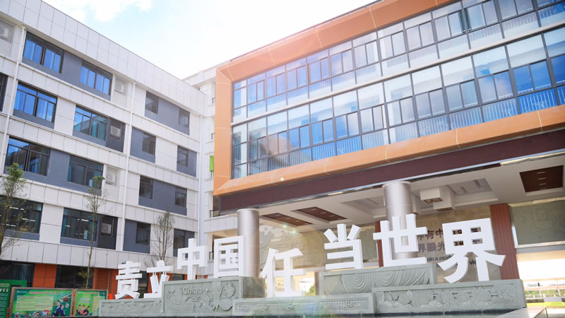 安州東辰國際學校圖片展示