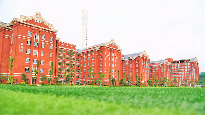 宜賓東辰國際學校圖片展示