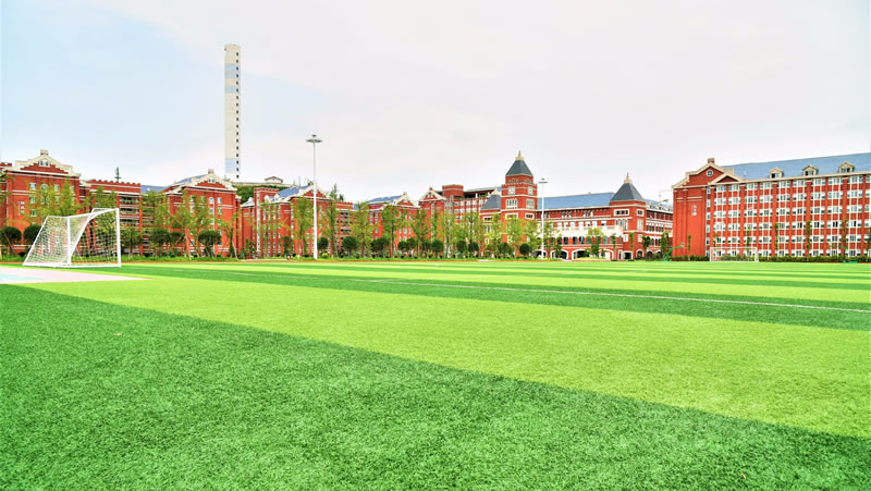 宜賓東辰國際學校圖片展示