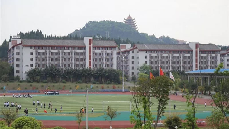 遂寧東辰榮興國際學校圖片展示