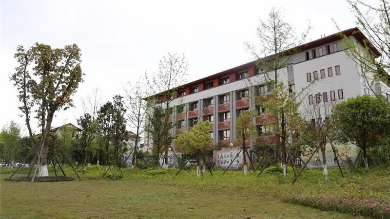 遂寧東辰榮興國際學校圖片展示