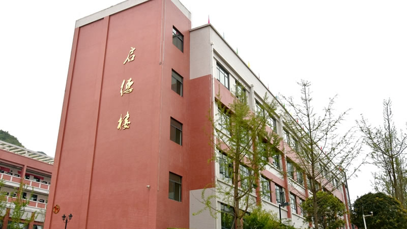 畢節東辰實驗學校圖片展示