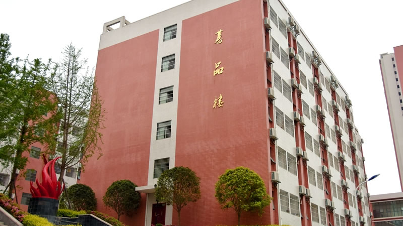 畢節東辰實驗學校圖片展示