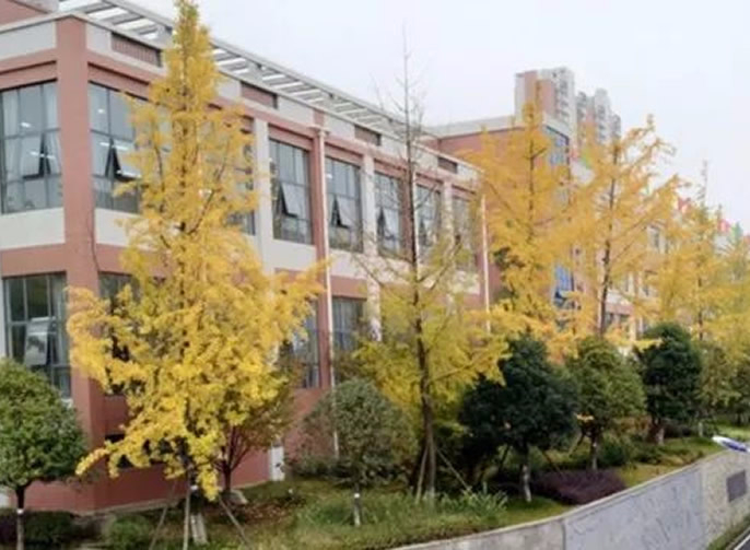 【畢節東辰】停課不停學（四）丨疫情防控不停止 宅家運動不停歇 ——畢節東辰實驗學校體育老師教你宅家也能這樣運動
